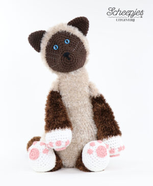 Ragdoll kat Cody